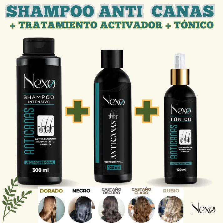 Combo Nexo Shampoo + Tónico + Activador