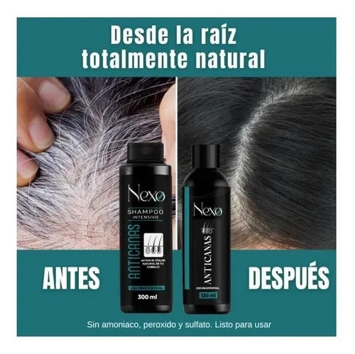 Combo Nexo Shampoo + Tónico + Activador